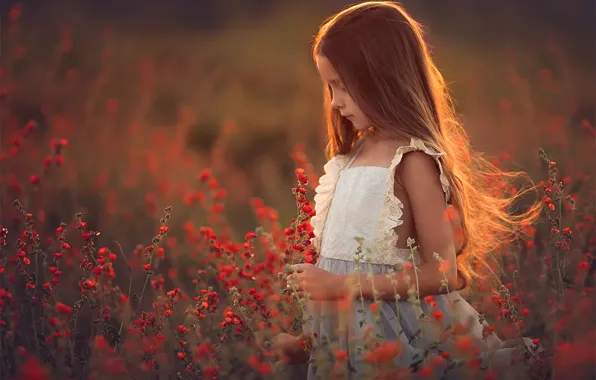 Картинка поле, цветы, Девочка