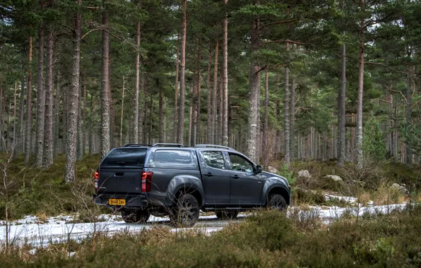 Картинка пикап, 2018, хвойный лес, Isuzu, Huntsman, D-Max, UK version