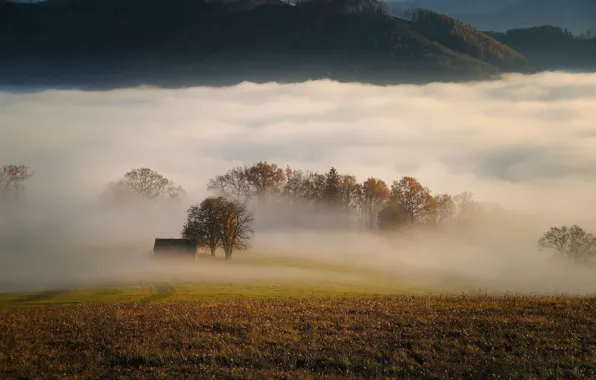 Картинка осень, деревья, туман, луг, домик, Карл Эггер