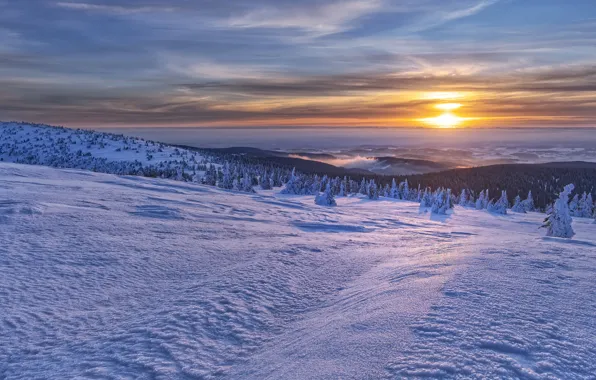 Зима, снег, горы, восход, рассвет, утро, Чехия, Czech Republic
