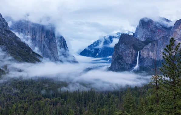 United States, California, Yosemite Village