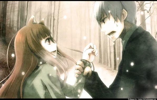 Девушка, аниме, арт, Хоро, spice and wolf, мажчина, Horo