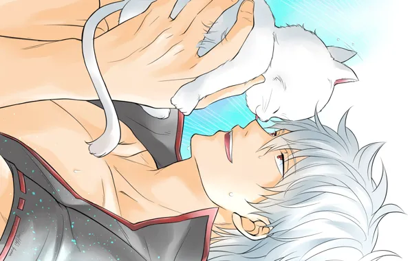 Кошка, кот, аниме, парень, киса, Gintama, Sakata Gintoki, Гинтоки