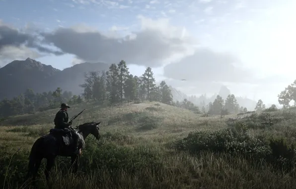 Природа, ковбой, red dead redemption 2