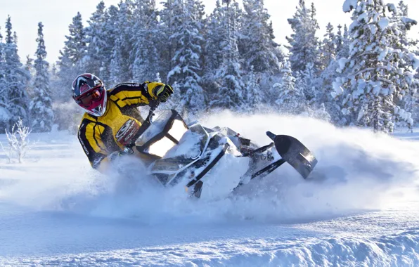 Картинка Деревья, Снегоход, Snowmobile, Ski-Doo, Снег