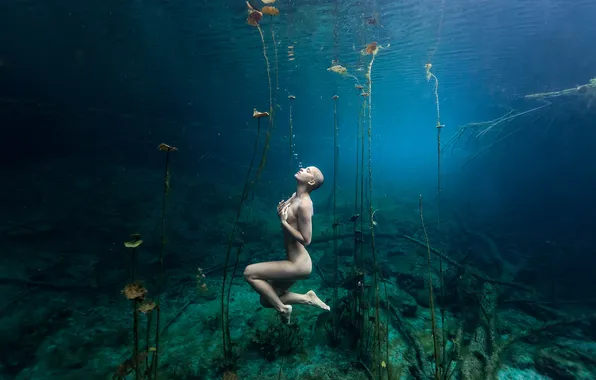 Девушка, водоросли, поза, модель, растения, Girl, фотограф, sexy