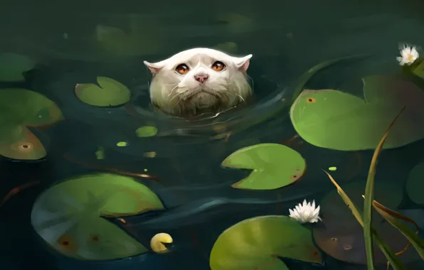 Картинка кошка, листья, пруд, кувшинки, by SalamanDra-S
