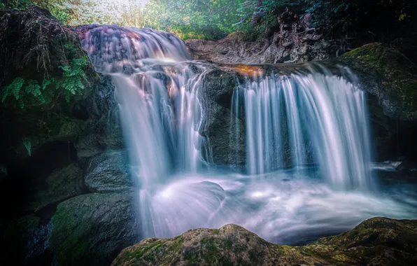 Лес, ручей, камни, Франция, водопад, мох, кусты, Carcès
