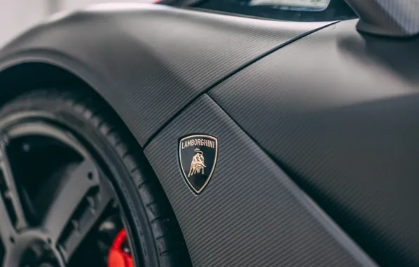 Картинка Lamborghini, logo, badge, Lamborghini Centenario, Centenario, carbon fiber