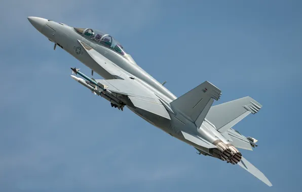 Небо, серость, самолёт, F/A-18F Super Hornet