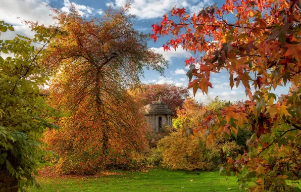 Картинка осень, листья, часовня