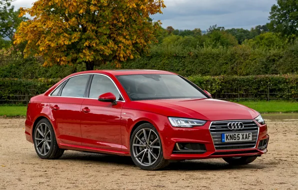 Audi, ауди, quattro, Sedan, 2015