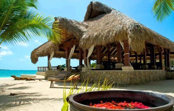 Картинка песок, море, пальмы, отдых, багамы, столовая