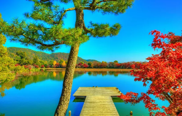 Картинка фото, HDR, Природа, Причал, Осень, Деревья, Япония, Пруд