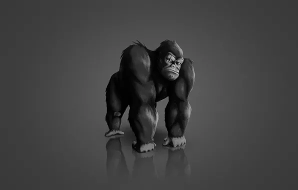 Картинка темный фон, животное, обезьяна, горилла, monkey, gorilla