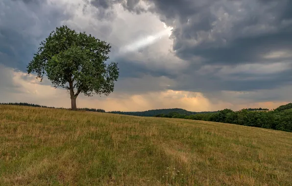 Тучи, природа, дерево, холмы, Германия, Rheinland-Pfalz