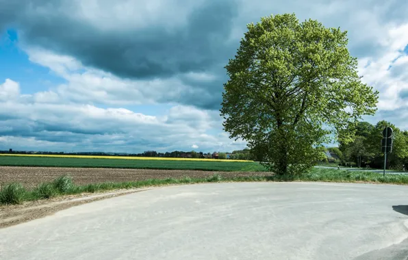 Картинка дорога, поле, лето, облака, дерево, road, field, clouds