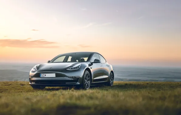 Небо, трава, закат, горизонт, Model, Tesla, Tesla Model 3, Tesla Model