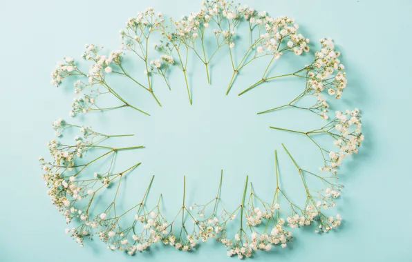 Цветы, фон, white, белые, flowers, spring, frame, floral