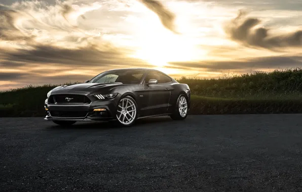Картинка Mustang, Ford, Muscle, Car, Front, Sunset, Wheels, Avant