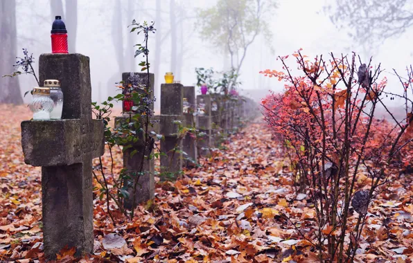 Картинка осень, листья, деревья, туман, кресты, могилы, кладбища
