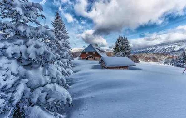 Картинка зима, снег, деревья, горы, дом, Франция, ели, Альпы