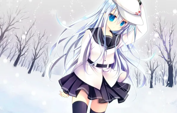 Верный, Kantai Collection, Hibiki Destroyer, Shirogane Hina