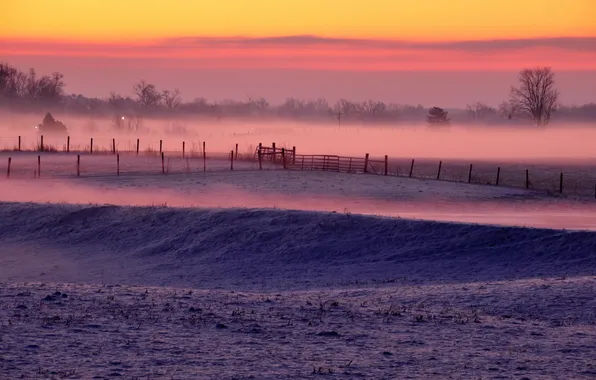 Картинка зима, поле, туман
