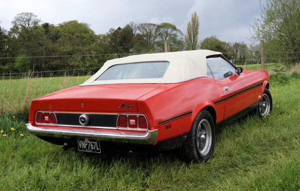 Mustang, Ford, Форд, Мустанг, классика, Muscle car, 1973