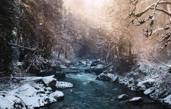Nature, Wood, Winter, Water, Ice, River, Rocks, Trees
