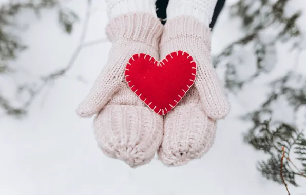 Зима, снег, любовь, сердце, елка, red, love, heart