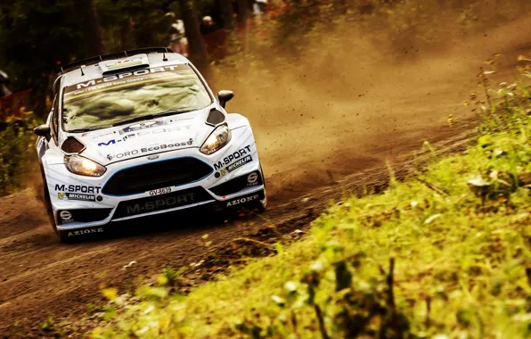 Картинка Ford, Лес, Форд, Занос, WRC, Rally, Ралли, Fiesta