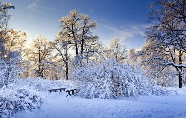 Картинка зима, снег, деревья, ветки, мост, природа, мостик, кусты