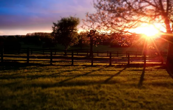 Небо, солнце, закат, природа