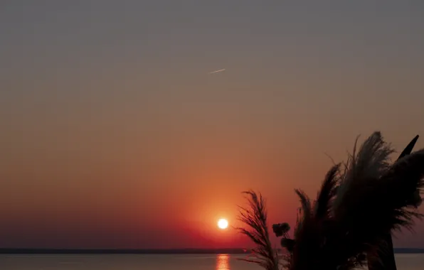 Закат, Море, Лето, Самолёт