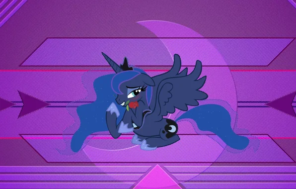 Фиолетовый, фон, узор, пони, My Little Pony, лошадка
