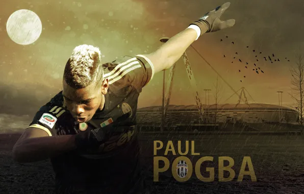 Wallpaper, sport, stadium, football, player, Juventus FC, Juventus Stadium, Paul Pogba