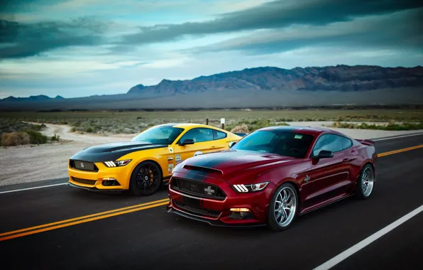 Дорога, Ford, дикий запад, Mustang GT, Shelby Terlingua, Shelby Super Snake