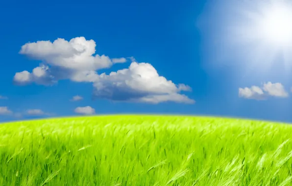 Картинка небо, трава, солнце, облака, пейзаж, природа, grass, sky