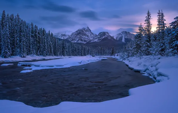 Картинка зима, лес, снег, горы, река, ели, Канада, Альберта