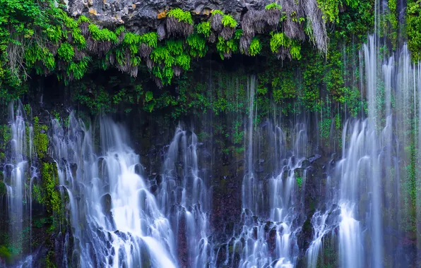 Картинка природа, скала, растения, California, Northern California, водпад, McArthur-Burney Falls Memorial State Park, Cayton