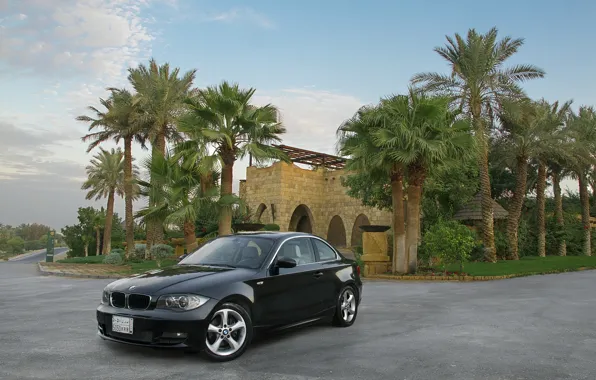 Картинка машина, пальмы, черная, особняк, BMW 125i