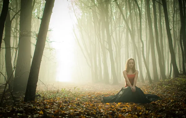 Картинка осень, лес, девушка, туман
