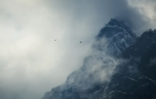 Облака, снег, горы, птицы, Гималаи, Непал
