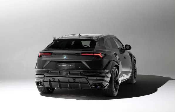 Lamborghini, внедорожник, SUV, Urus, Урус, Carbon Edition, 2024, Lamborghini Urus R'Evo