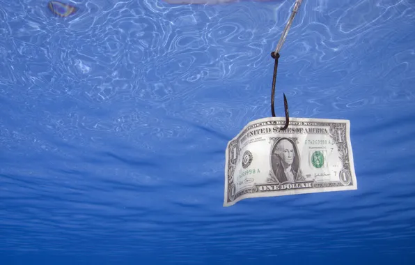 Dollar, Money, fishing