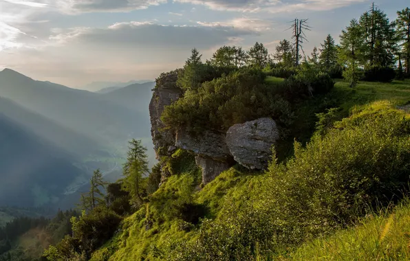 Картинка лес, небо, трава, облака, деревья, пейзаж, горы, природа