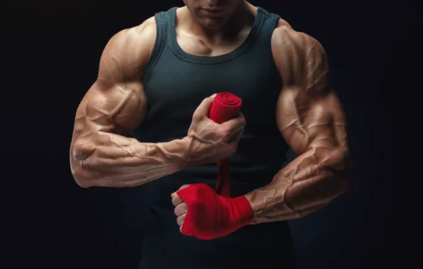 Muscles, arms, bodybuilder