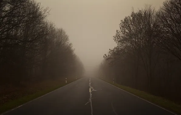 Картинка дорога, лес, деревья, туман, фото, пейзажи, дороги