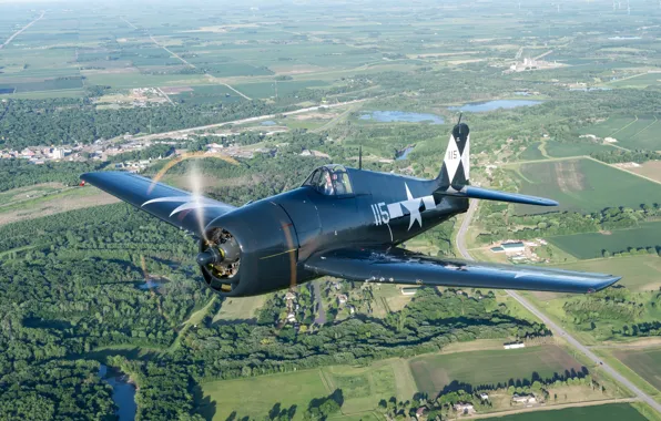 Fighter, airplane, aviation, Hellcat